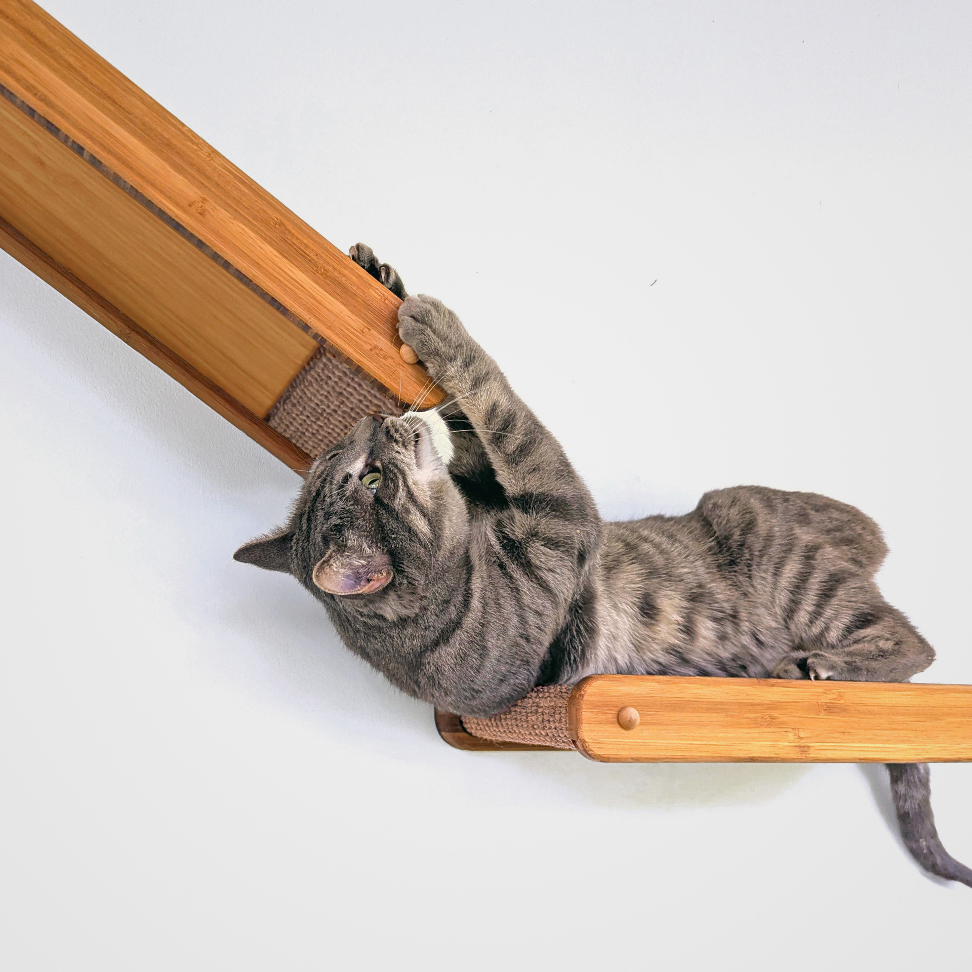 Climber